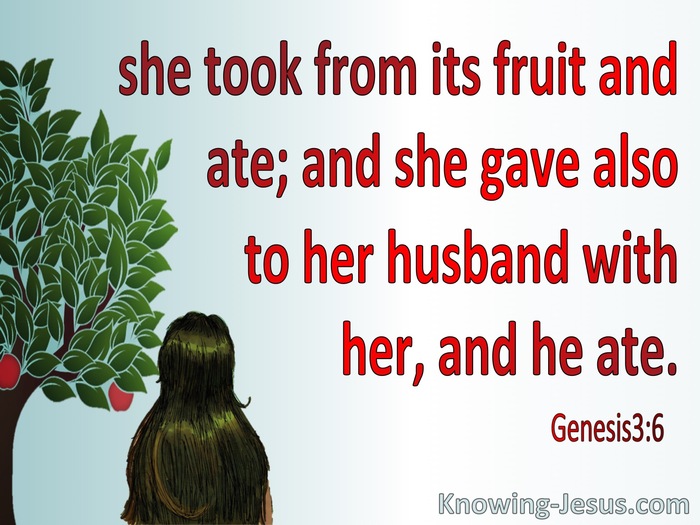 Genesis 3:6 Eve Took, Ate And Gave To Her Husband (red)