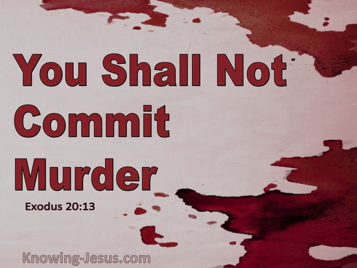 Exodus 20:13 You Shall Not Murder (maroon)