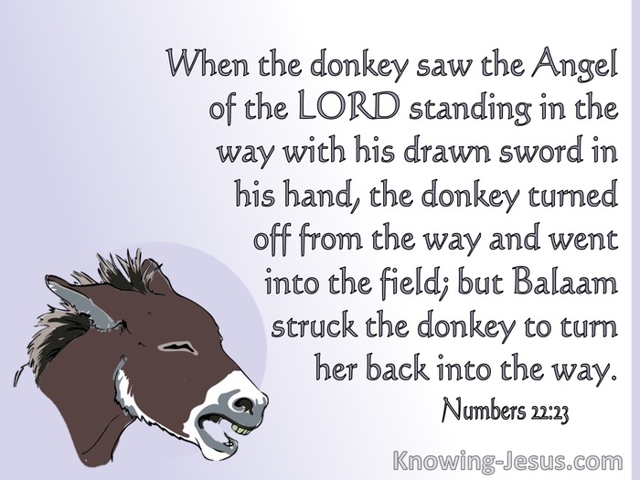 Numbers 22:23 The Donkey Saw The Angel Of The Lord (white)