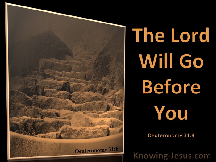 Deuteronomy 31:8 The Lord Go Before You (black)