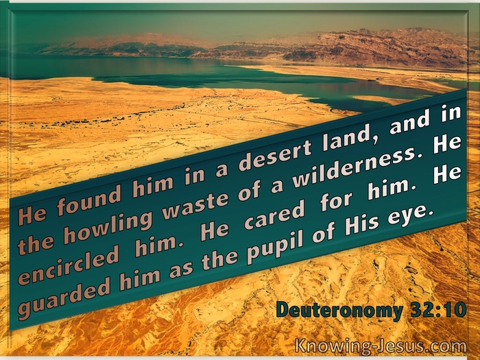 Deuteronomy 32:10 He Found Him In A Desert Land And Guarded Him As The Apple Of His Eye (green)