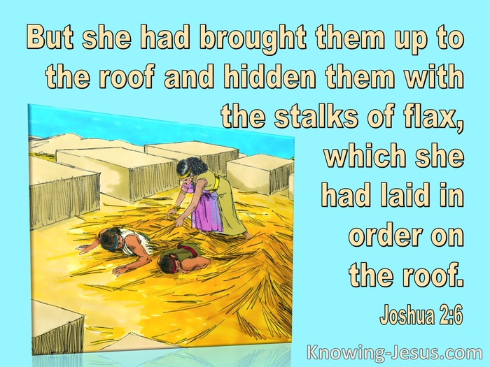 Joshua 2:6 She Hid The Spies In Stalks Of Flax (aqua)