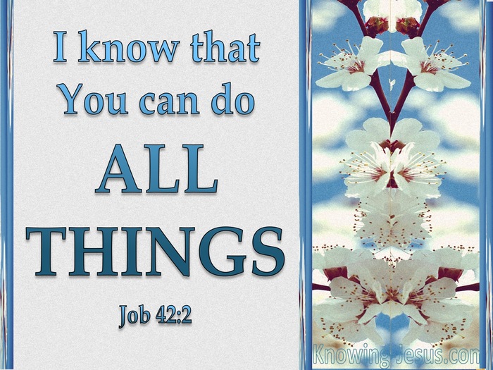 Job 42:2 You Can Do All Things (blue)