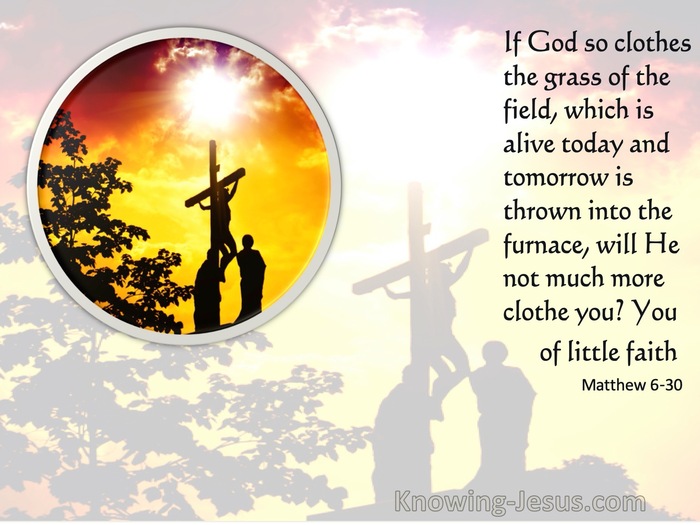 Matthew 6:30 If God So Clothe The Grass Of The Field (orange)