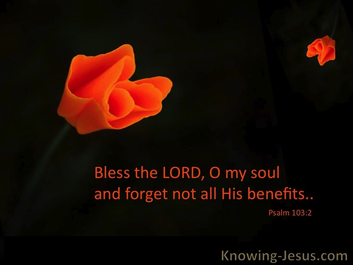 Psalm 103:2 Bless The Lord Oh My Soul (orange)