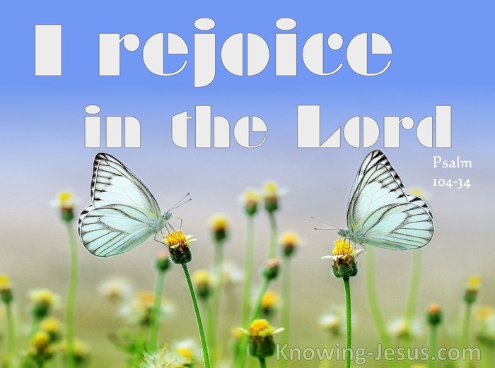 Psalm 104:34 I Rejoice In The Lord (white)