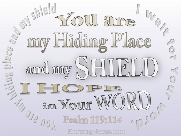 Psalm 119:114 Your Are My Hiding Place (white)