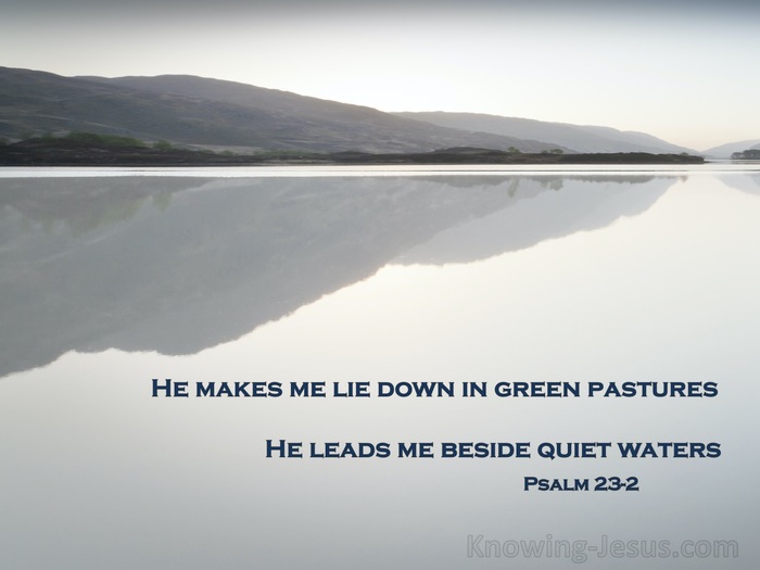 Psalm 23:2 He Leadeth Me Beside Still Waters (navy)