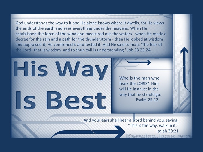 Job 28:24 God Understands The Way (blue)