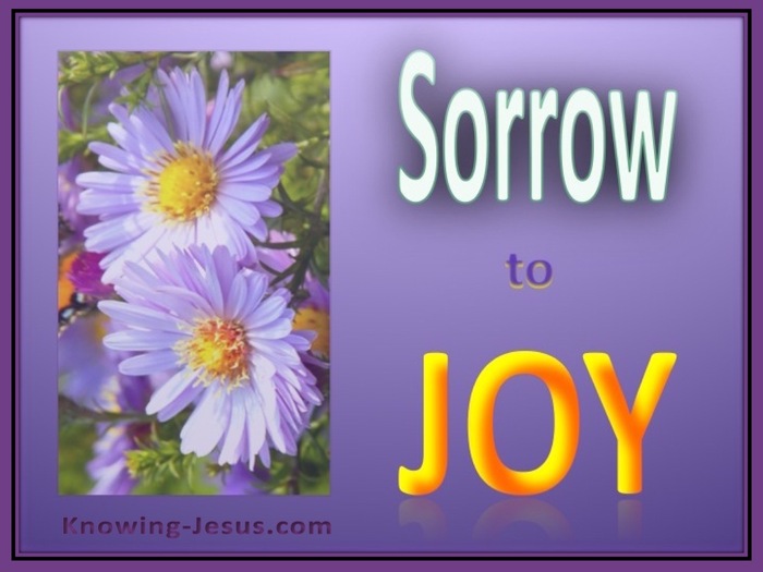Psalm 30:5 Sorrow to Joy (devotional) (yellow)