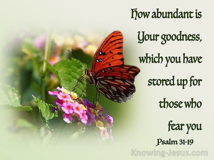 Psalm 31 19 How Great Is Your Goodness Which You Have Stored Up For 