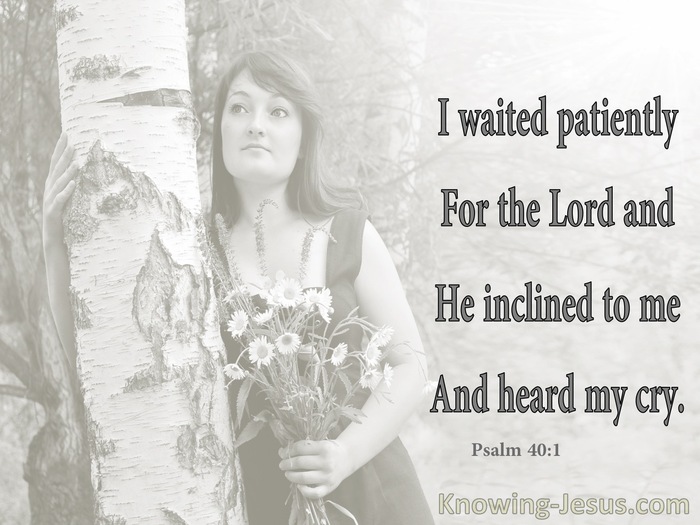 Psalm 40:1 Wait Patiently For The Lord (gray)