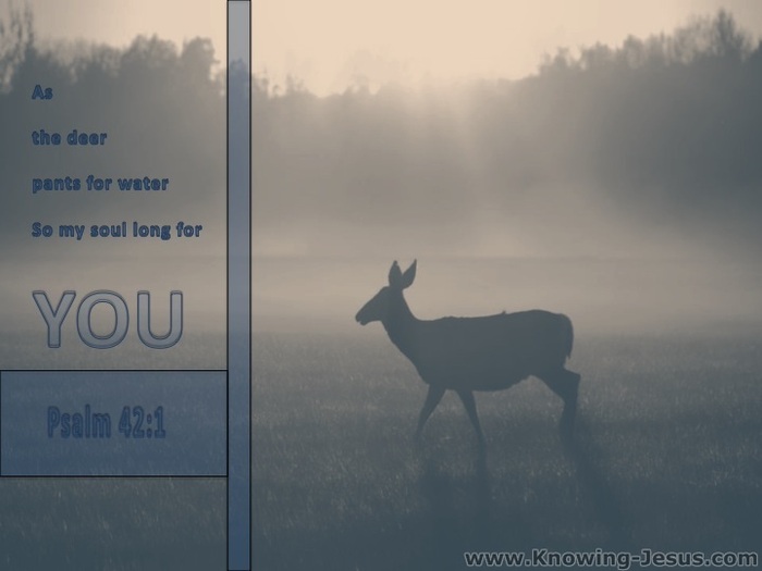 As A Deer Pants For Water Photograph by Sharon Rolland - Pixels