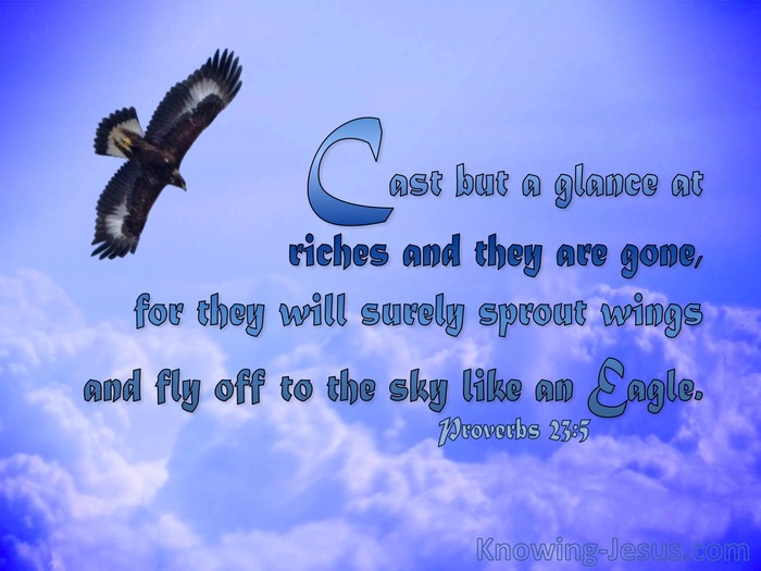 Proverbs 23:5 Cast But A Glance At Riches (blue)