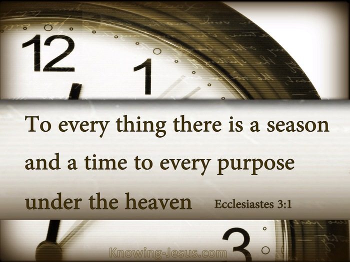 Ecclesiastes 3:1 To Everything There Is A Season (brown)