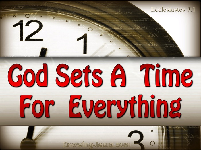 Ecclesiastes 3:1 To Everything There Is A Season (red)
