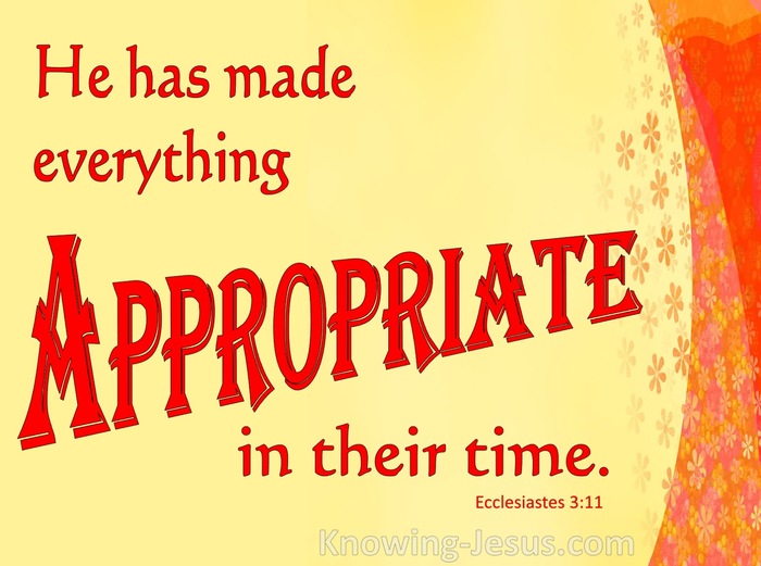 Ecclesiastes 3:11 He Made Everything Appropriate (red)