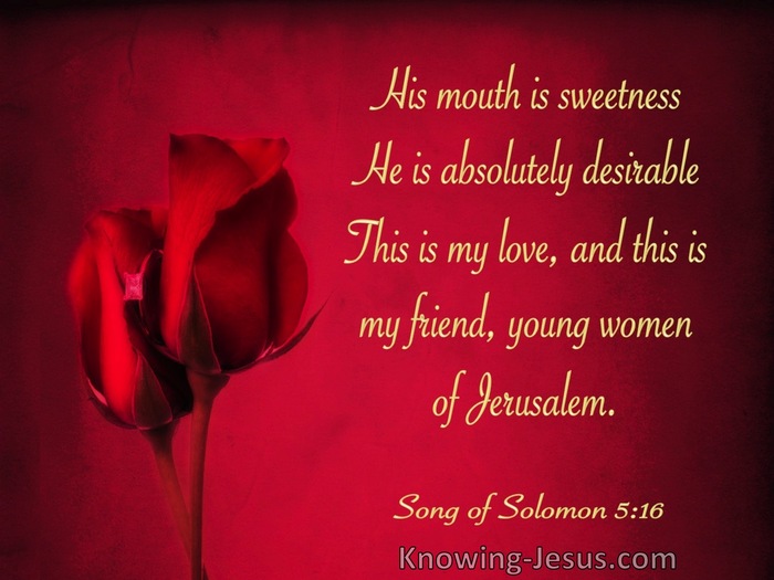 The Song of Solomon 5-16 He Is Absolutely Desirable (maroon)