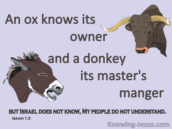 Isaiah 1:3 An Ox And Donkey Know Its Master (purple)