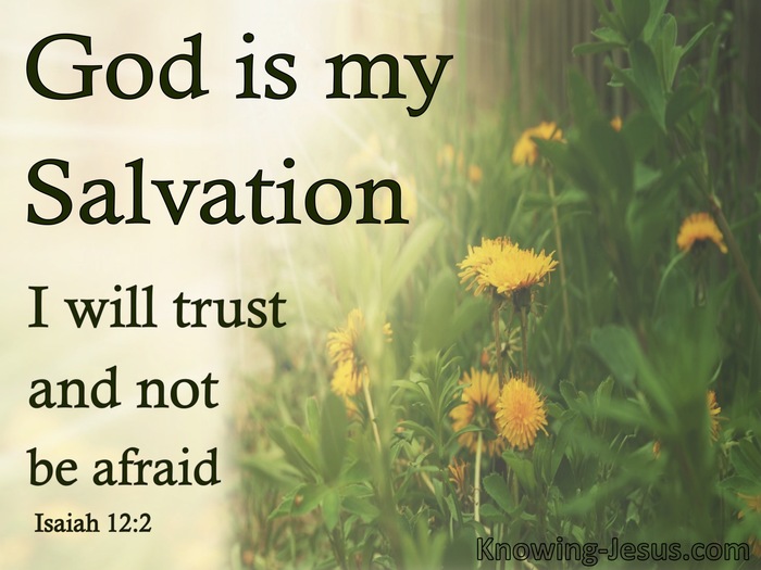 Isaiah 12:2 God Is My Salvation I Will Not Be Afraid (green)