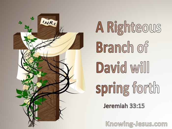 7 Bible Verses About Branches, Illustrating Messiah