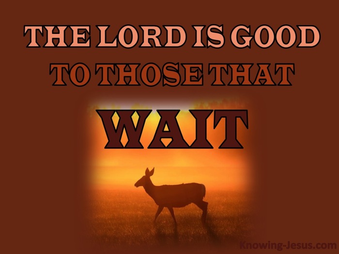 Lamentations 3:25 The Lord Is Good To Those Who Wait (orange)