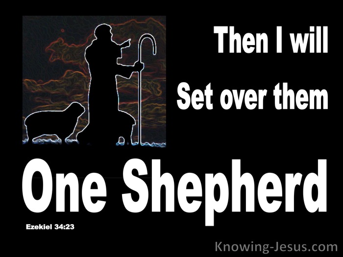 Ezekiel 34:23 He WIll Set Over Them One Shepherd (black)