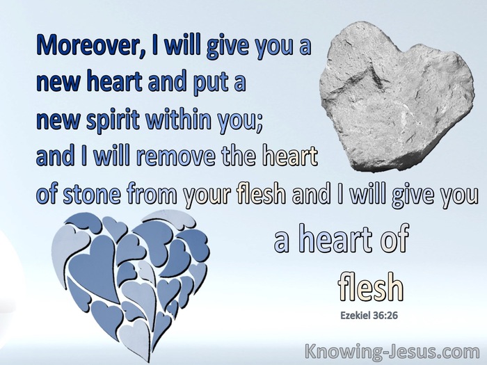 Ezekiel 36:26 A New Heart Of Flesh (blue)