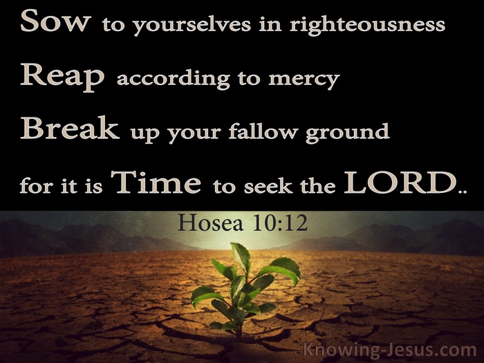Hosea 10 12 Break Up Your Fallow Ground It IS Time To Seek The Lord Black 
