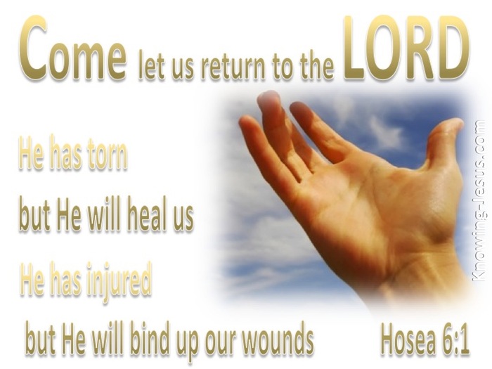 Hosea 6 1 Let Us Return Gold 