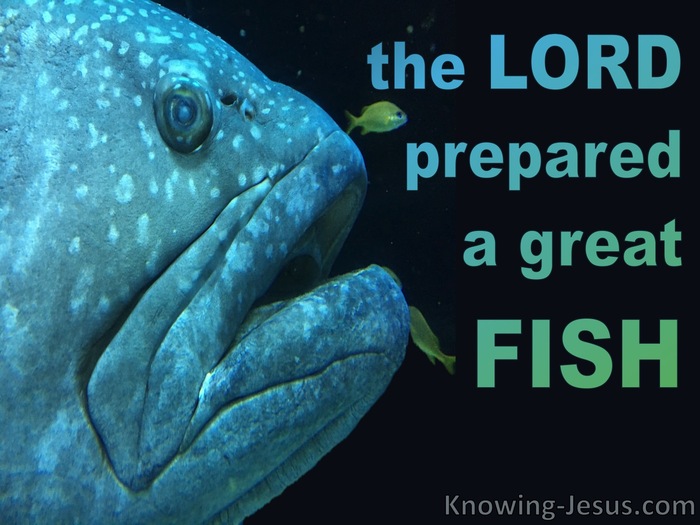 Jonah 1:17 The Lord Prepared A Big Fish (black)