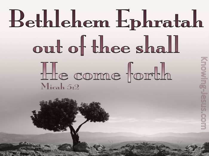 Micah 5:2 Out Of Thee Shall He Come Forth (pink)
