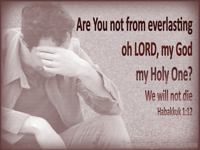 Habakkuk 1:12 You Are the Everlasting God (gray)