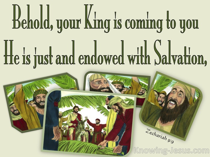 Zechariah 9:9 Behold Your King Is Coming (green)