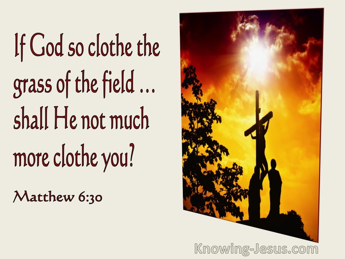 Matthew 6:30 If God So Clothe The Grass Of The Field... (utmost)01:26