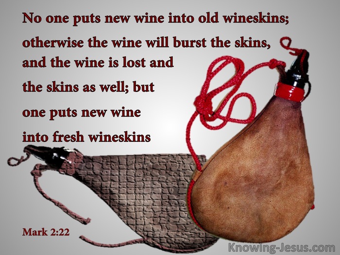 new wineskin