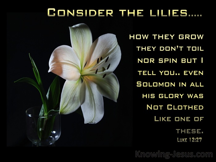 Luke 12:27 Consider The Lilies Of The Field (gold)