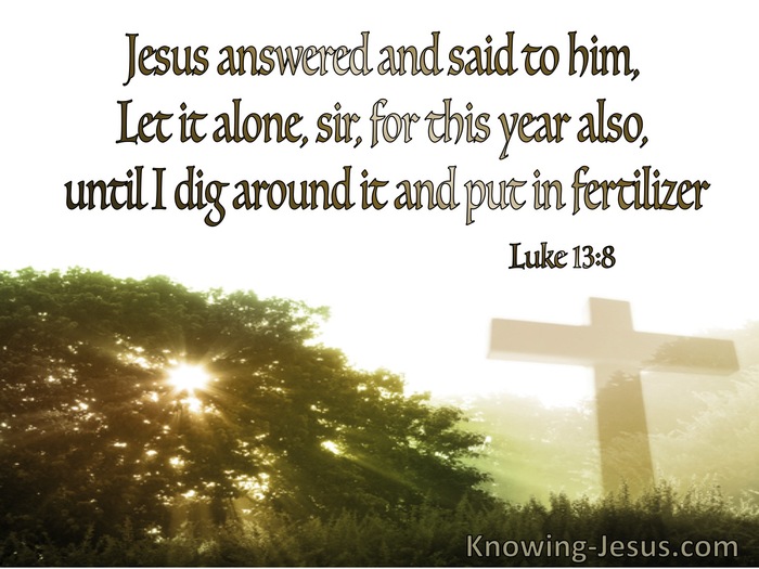 Luke 13:8 Let It Alone For This Year Also (green)