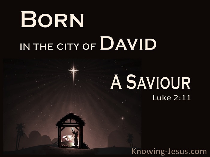 Luke 2:11 A Saviour Who Is Christ The Lord (black)