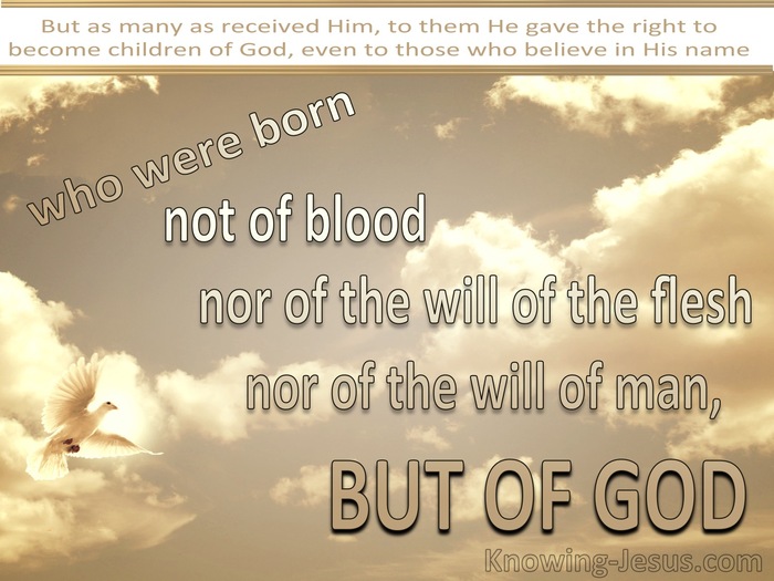 John 1:13 Not Born of Man's Will But Of God (beige)