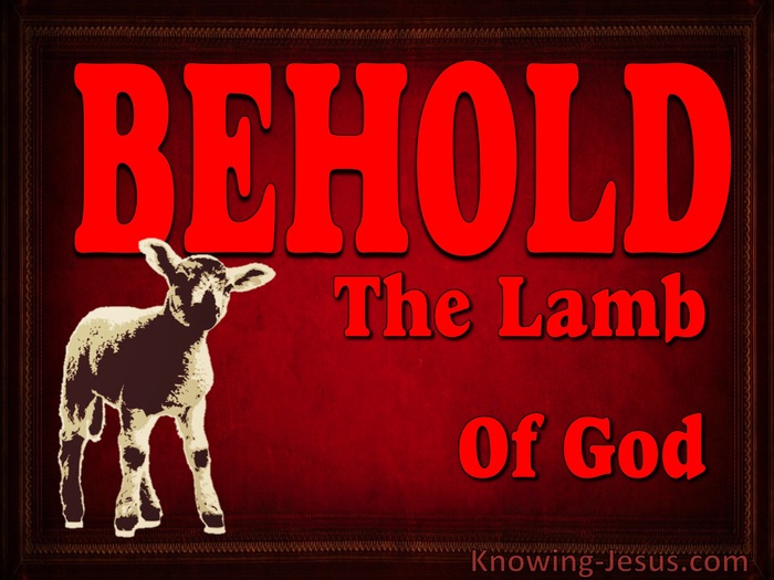 John 1:29 Behold The Lamb Of God (devotional)08:08 (red)