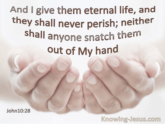 John 10:28 I Give Them Eternal Life And They Shall Not Perish None Shall Snatch Them From My Hand (pink)