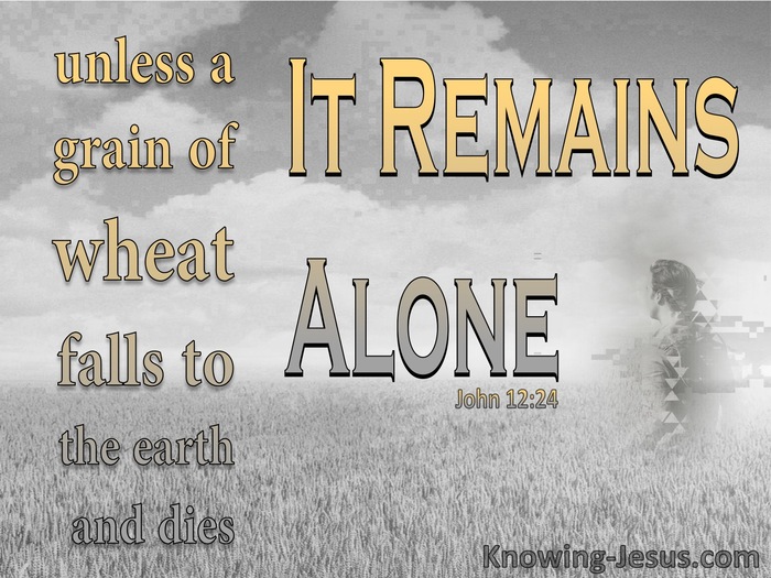 81 Bible Verses About Grain