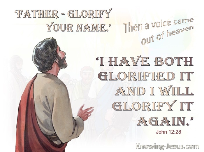 John 12:28 John Father Glorify Your name (brown)