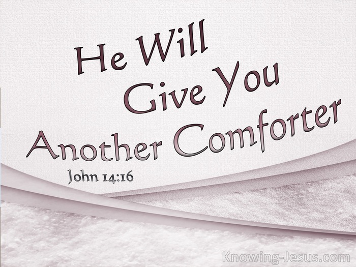 John 14:16 He Will Give You Another Comforter (pink)