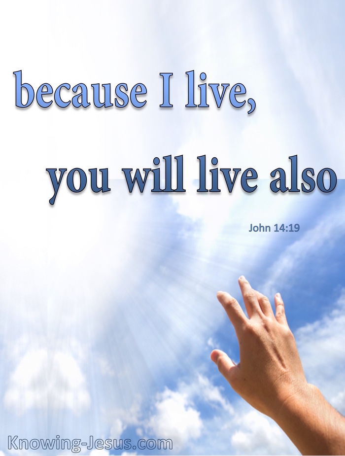 John 14:19 Because I Live You Will Live Also (blue)