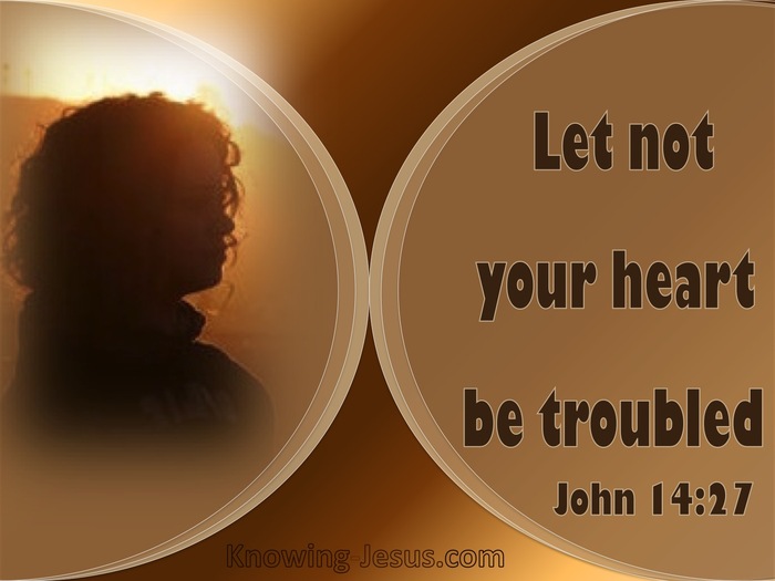 John 14:27 Let Not Your Heart Be Troubled (brown)