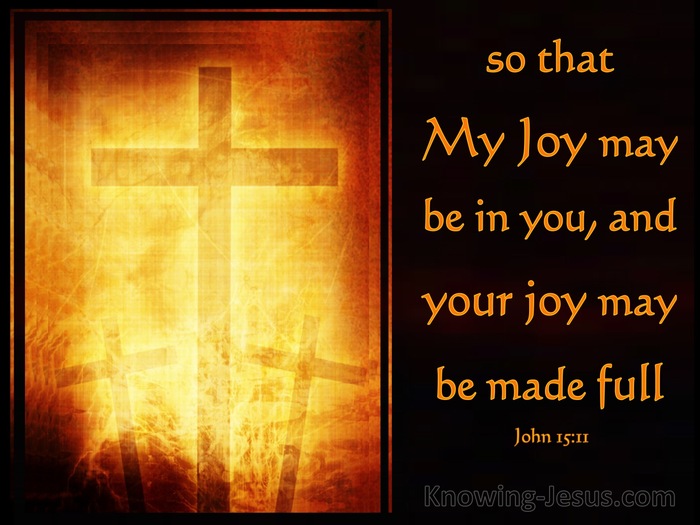 John 15:11 That Your Joy May Be Full (brown)