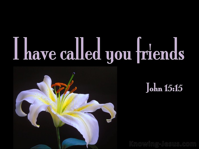 John 15:15 I Have Called Your Friends (black)