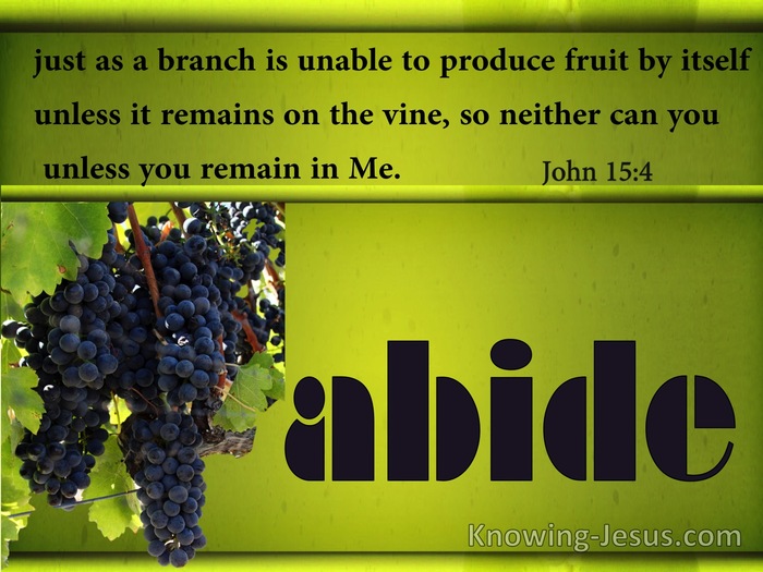 John 15:4 Abide In The Vine (green)